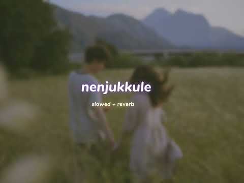 nenjukkule ( s l o w e d + r e v e r b ) | lilvibe