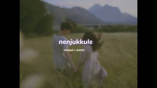 nenjukkule ( s l o w e d + r e v e r b ) | lilvibe