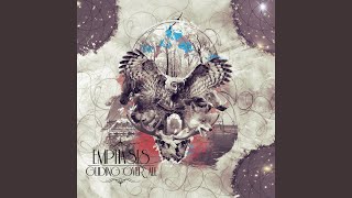 Tonight We Ride Ghost Horses