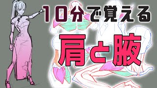 肩周りを描く時のポイント（00:13:39 - 00:57:48） - 【10分で覚える】肩・腋の筋肉・ポイントは〇〇筋　朝ドロ#142　９０秒ドローイング【初心者歓迎】