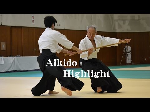 【Aikido Highlight】  Shirakawa Katsutoshi shihan 白川勝敏 師範 神武錬成塾