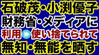 【自民党】石破茂・小渕優子が財務省・オールドメディアに利用されて無知・無能を晒してしまう【田中秀臣✕デイリーWiLL】