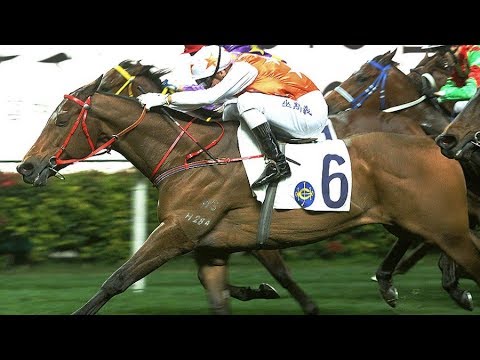 2011 The Rotary Centenary Challenge Cup - Glenealy Star (連利福星) - 巫斯義