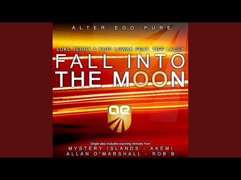 Fall Into The Moon (Original Mix)