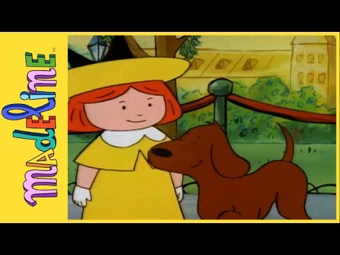 Madeline: Madeline & The Dog Show // Season 2, Episode 2 - Kids TV Series, Kingdom Kids Zone - Madeline - WildBrain