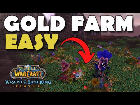 EASY WOTLK Classic Gold Farming Spot To Try!