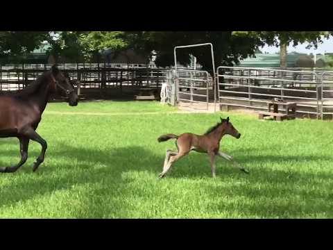 Euphoria's First Day Out