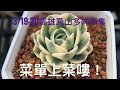 劉家花園—高雄市集菜單大公開｜3 19 20高雄鳳山多肉植物市集｜上菜嘍！