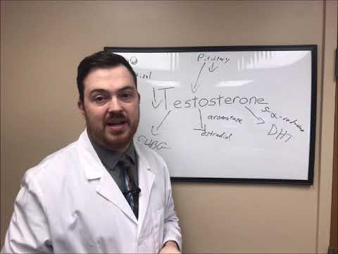Low Testosterone and DHT