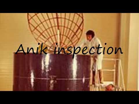 How to pronounce Anik inspection in English?