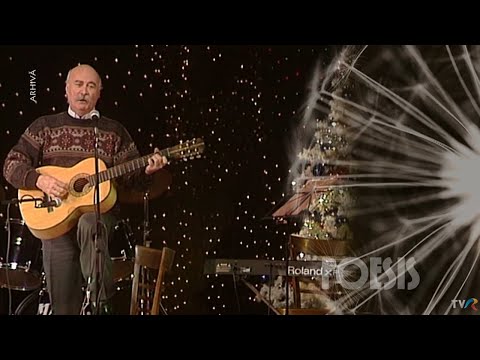 Poesis: Tudor Gheorghe – La fereastra cu gutuie (@Arhiva TVR)