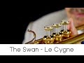 The Swan Le Cygne Play With Me N 23 Andrea Giuffredi