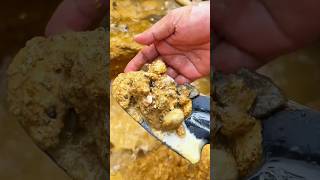 Download lagu Wow! This is the Land Full of Pure Gold mp3 Download lagu Wow! This is the Land Full of Pure Gold mp3