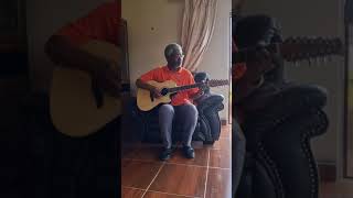 Video thumbnail for Applause By Ovation 12 String Acoustic Electric Guitar: Amazing Tone And Sound. #applauseguitars by Live Concerts