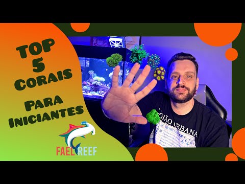 🔸Top 5 Corais Mais Fáceis Para Iniciantes no Aquário Marinho!!!