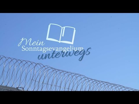 Mein Sonntagsevangelium – Feindesliebe