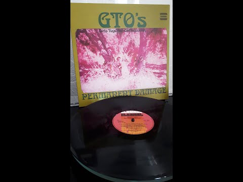 GTOs "Permanent Damage" 1969 vinyl full album