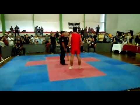 Hiram furukawa vs mario treviño