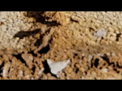 Uncovered a Termite Infestation in the Garage in East Brunswick, NJ