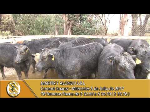 05-07-17 Venta Terneras Faena - Martín y Alonso - Coronel Suárez