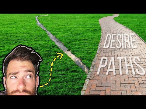 Desire Paths: The Unnoticed Wisdom of Crowds and What it Teaches Us About Ourselves