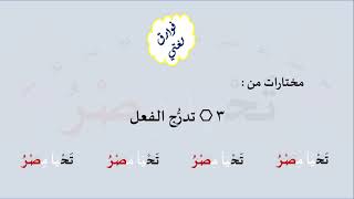 3 & صوت تدرُّج الفعل image