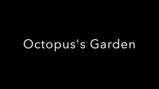 Octopus&#39;s Garden