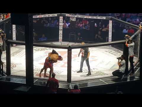 Bruno xinoco & Werleson muralha