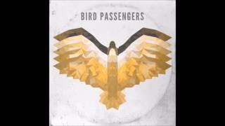 EVERY. SINGLE. Bird Passengers Instrumental!!
