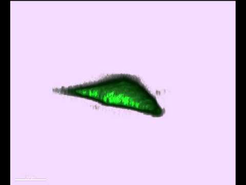 IMAGE ALT TEXT HERE