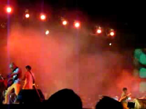 tolbandtol at gwk wanita jinak merpati