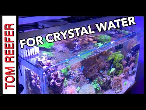 Reef Tank (WATER CHANGE ROUTINE FOR CRYSTAL CLEAR WATER)