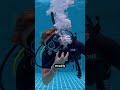 PADI IDC skill circuit. Breathing from a free flowing regulator by instructor Axu. #padi #idcskills