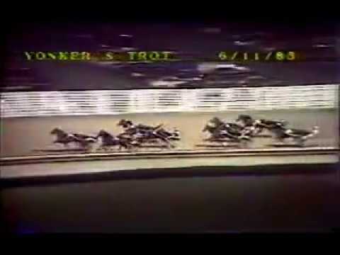 1983 Yonkers Raceway JOIE DE VIE Yonkers Trot Final Buddy Gilmour