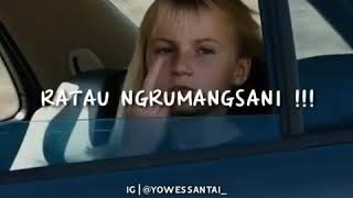 Download lagu Bajingan asu!!! mp3