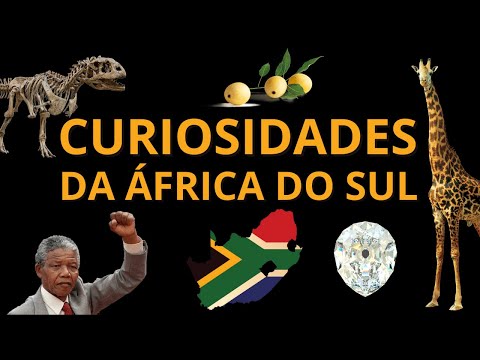 Curiosidades da África do Sul que você precisa conhecer