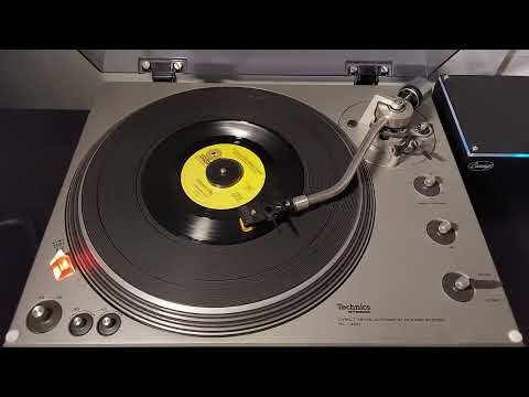 "Psychotic Reaction" - Count Five [Double Shot, 1966] [MONO] 45 RPM Vinyl rip