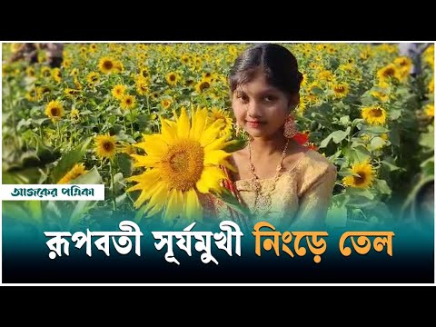 সূর্যমুখী তেল অন্যান্য ভোজ্যতেল থেকে ভালো