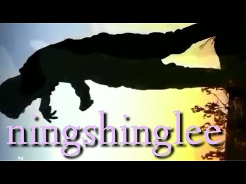 ningshinglee