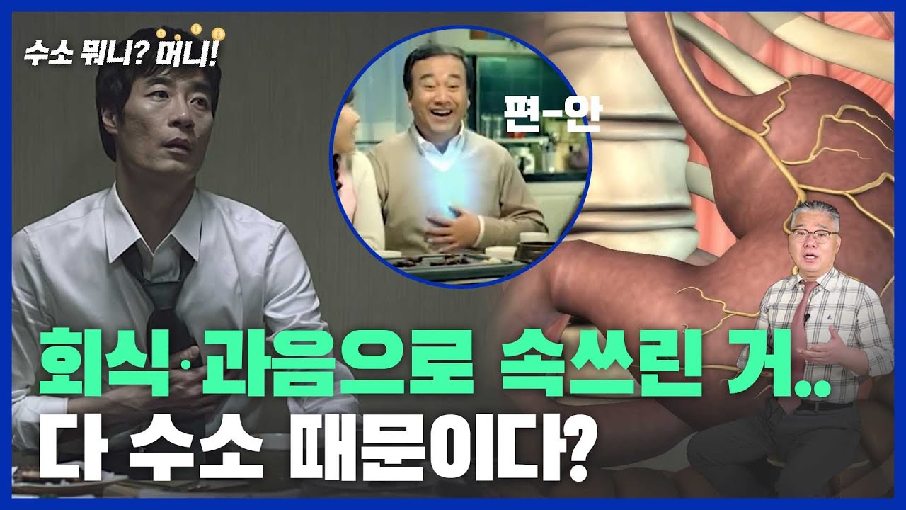 [수소뭐니?머니!]과음해서 속쓰린 게 수소 때문이었다?