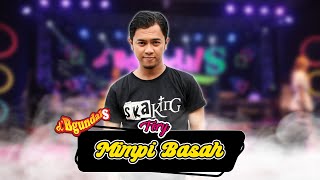 Download lagu Ferry Ardiansyah - Mimpi Basah ( Azizah ) | Ska Koplo mp3