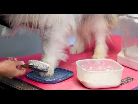 Marcar razas de doble capa