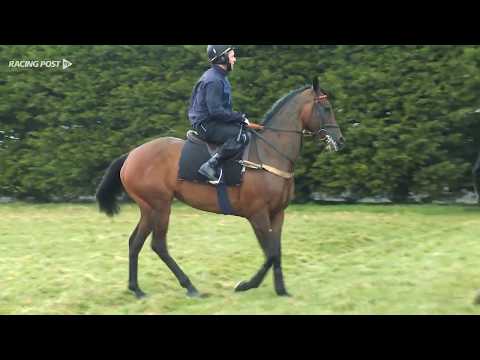 Randox Health Topham Chase: Theatre Territory