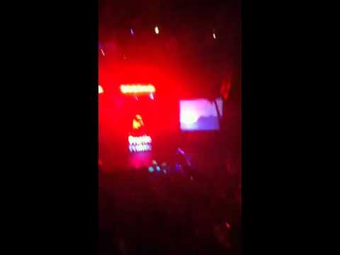 Frantic 14 Lucy fur & cally cage