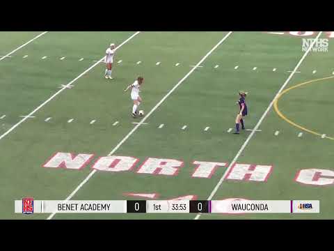 2019 IHSA Girls Soccer Class 2A Championship Game: Lisle Benet vs Wauconda