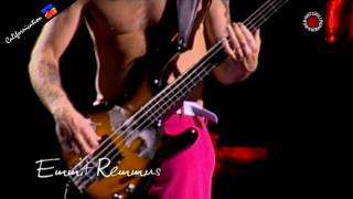 Red Hot Chili Peppers - Emit Remmus - Live in Chorzów