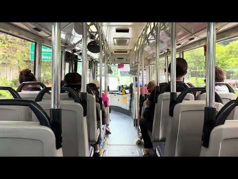 (E-TRIP) SMB55C on SMRT Bus Service 67 - Mercedes Benz OC500LE