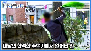 이렇게까지 해야 하나요...? 갈수록 난폭해지는 인간과의 점점 심해지는 갈등. 새끼를 지키고 살아남기 위해 척박한 환경에 적응하는 길고양이│다큐 프라임│#골라듄다큐