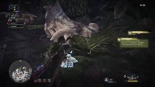 モンスターハンター：ワールド　フワフワクイナ捕獲成功例
