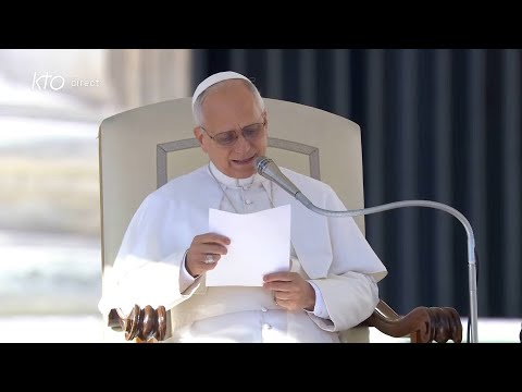 Audience générale du 12 novembre 2025